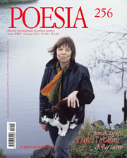 Poesia n°1 – January 2011