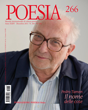 Poesia n°11 – November 2011